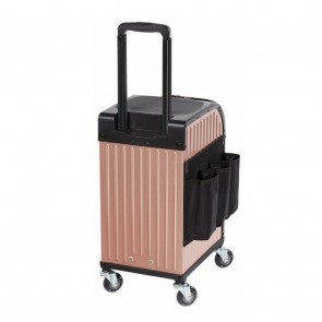 Sibel Rollercoaster Trolley Stool-Case Rotgold